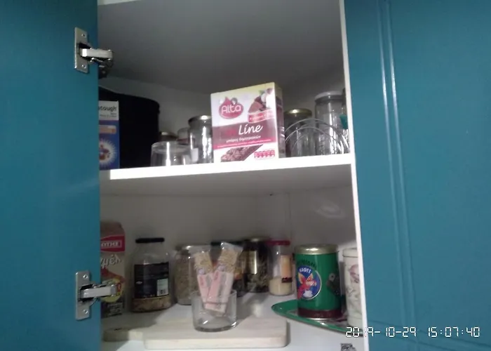 公寓 Palina's Comfy Home. *