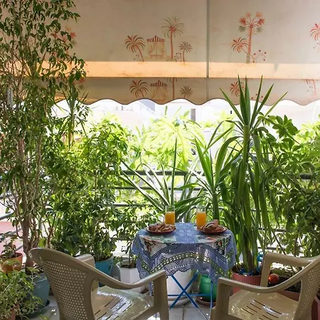 Palina's Comfy Home. Apartamento *