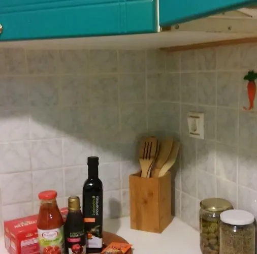 Palina's Comfy Home. Apartamento