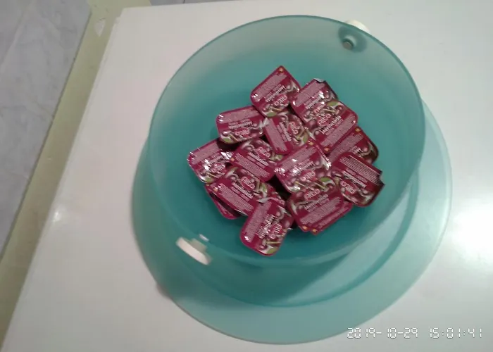 Palina's Comfy Home. 아파트