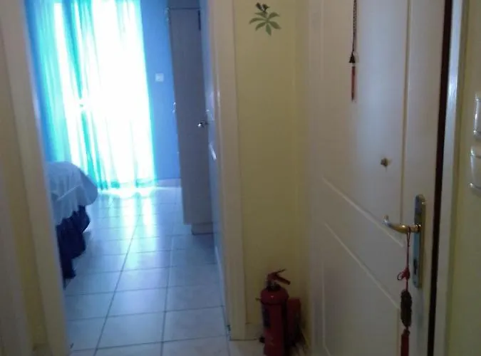 Palina's Comfy Home. * 칼라마타